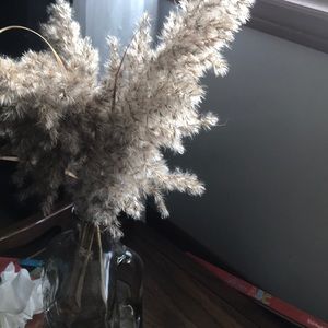 Meet your Posher, Mona